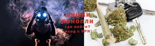 МДПВ Богородицк