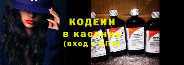ГАЛЛЮЦИНОГЕННЫЕ ГРИБЫ Богданович