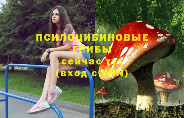 дживик Богородск
