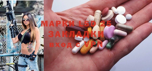 ГАЛЛЮЦИНОГЕННЫЕ ГРИБЫ Богданович