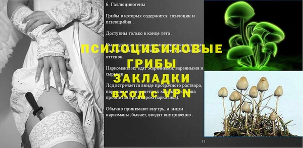 МДПВ Богородицк