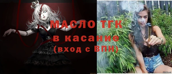 дживик Богородск