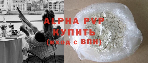 ГАЛЛЮЦИНОГЕННЫЕ ГРИБЫ Богданович