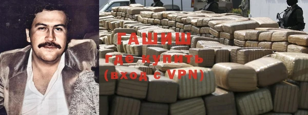 индика Сясьстрой