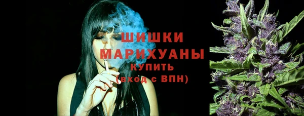 МДПВ Богородицк