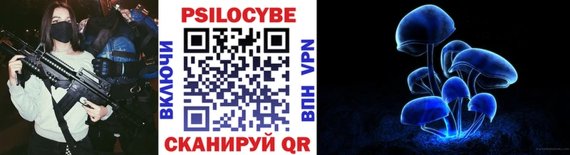 МЕГА как войти  Белокуриха  Псилоцибиновые грибы прущие грибы 